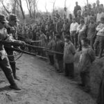 Le massacre de Nanjing : comprendre la violence de masse par la sociologie