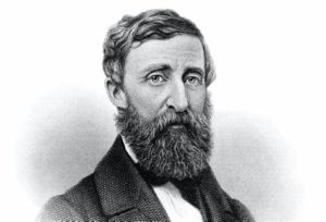 l'oeuvre de Henry David Thoreau